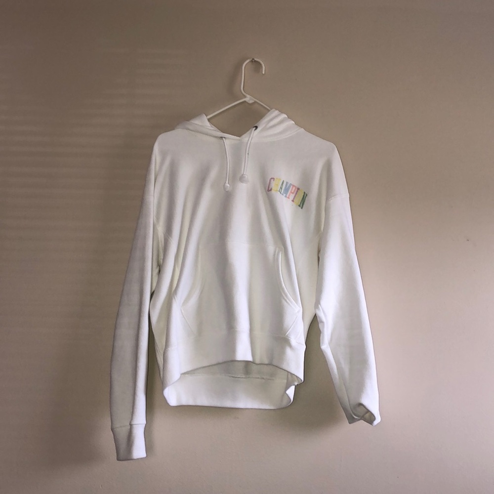 Multicolor Champion Hoodie